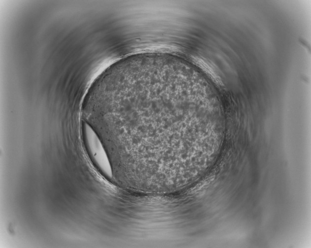 X0000096731079200802261447