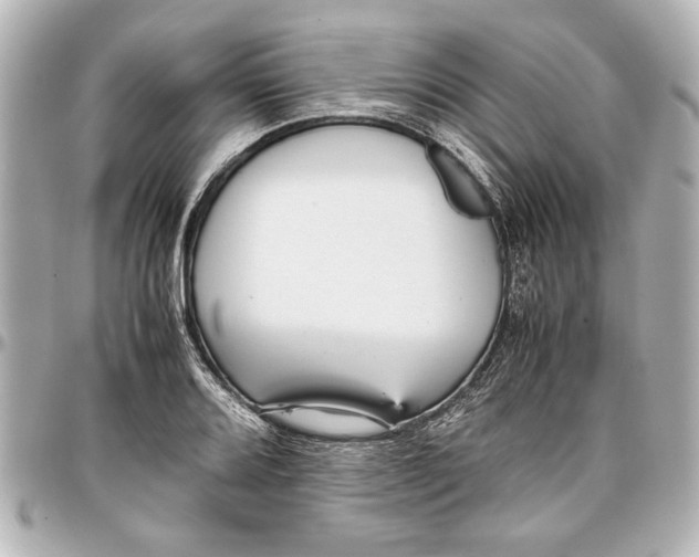 X0000096731080200802261447