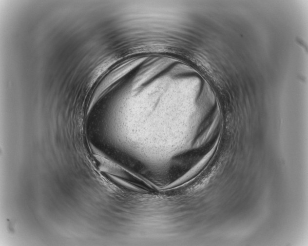 X0000096731081200802261447