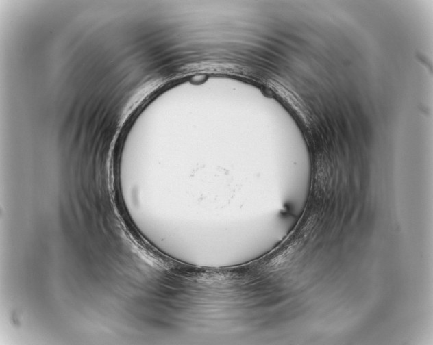 X0000096731082200802261447