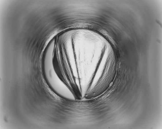 X0000096731083200802261447