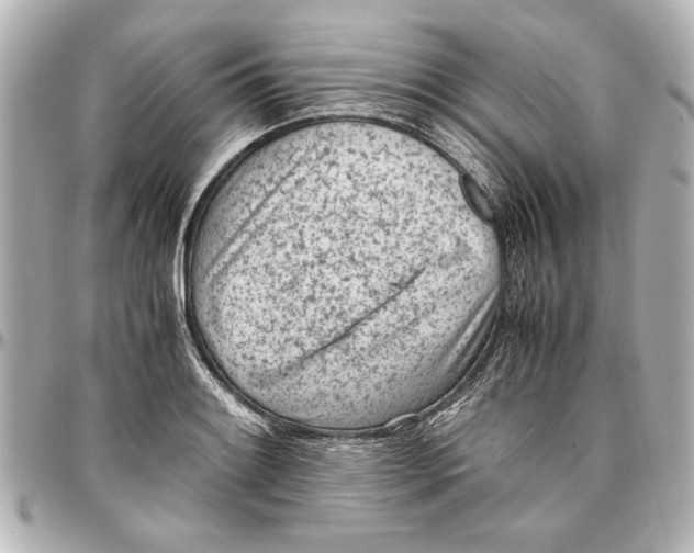 X0000096731084200802261447