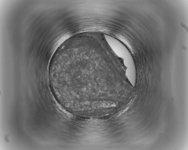 X0000096731087200802261447