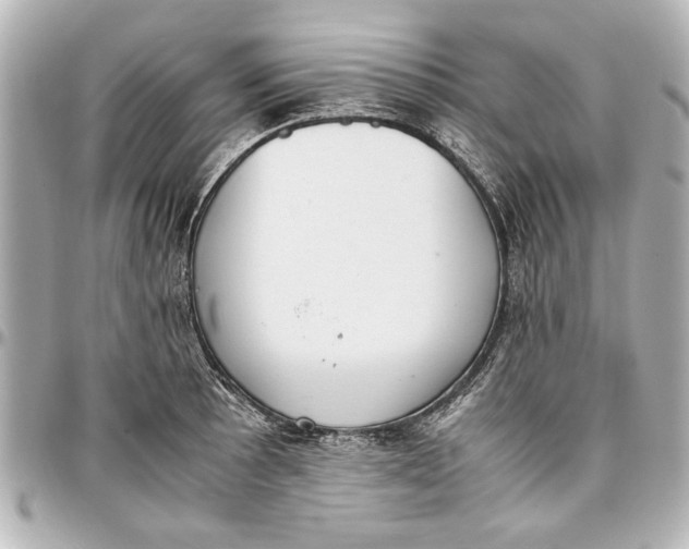 X0000096731089200802261447