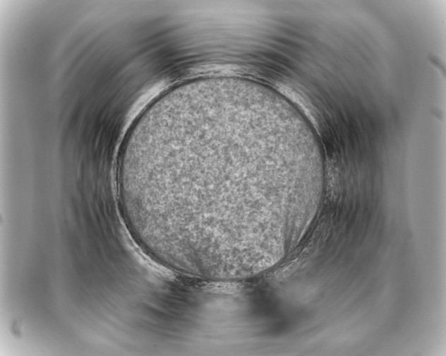 X0000096731090200802261447