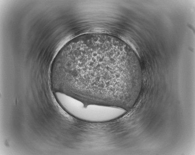 X0000096731091200802261447