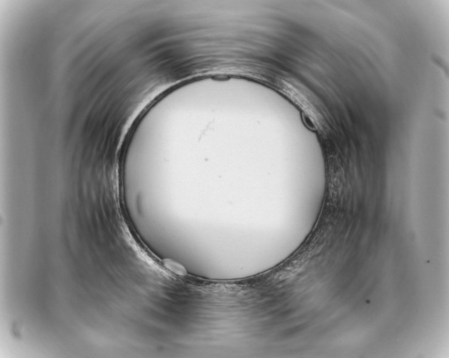 X0000096731092200802261447