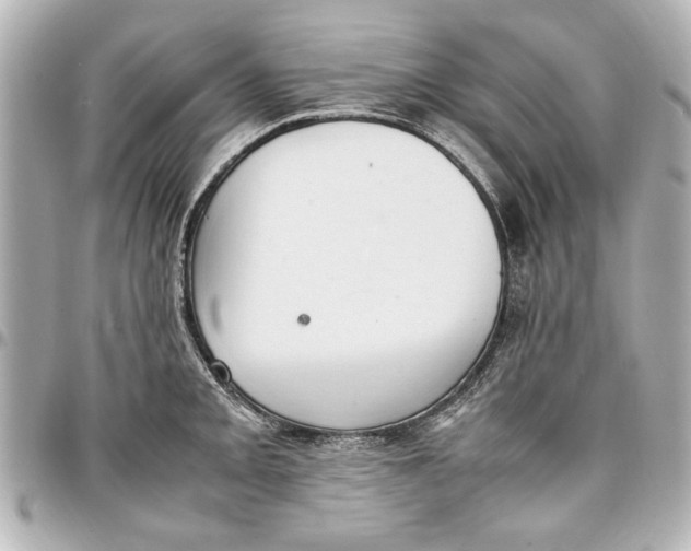 X0000096731093200802261447