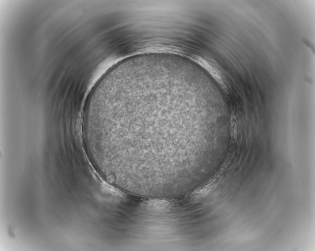 X0000096731094200802261447