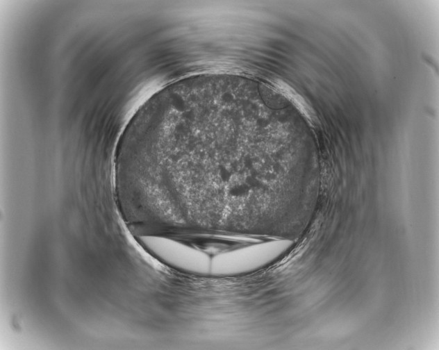 X0000096731095200802261447