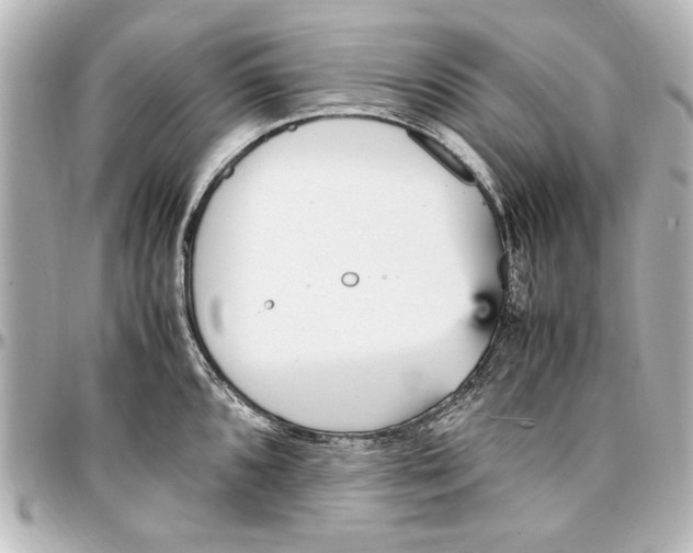 X0000096731096200802261447