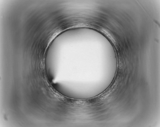 X0000096731097200802261447