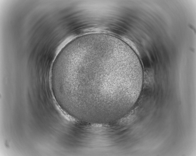 X0000096731098200802261447