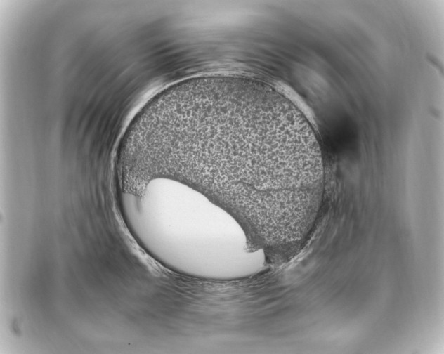 X0000096731099200802261447