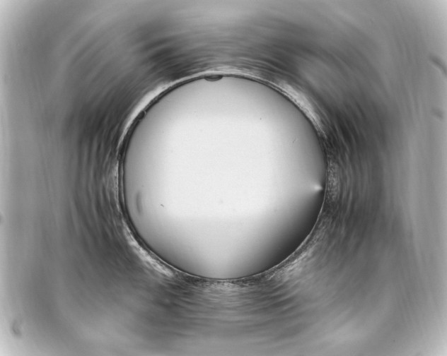 X0000096731100200802261447