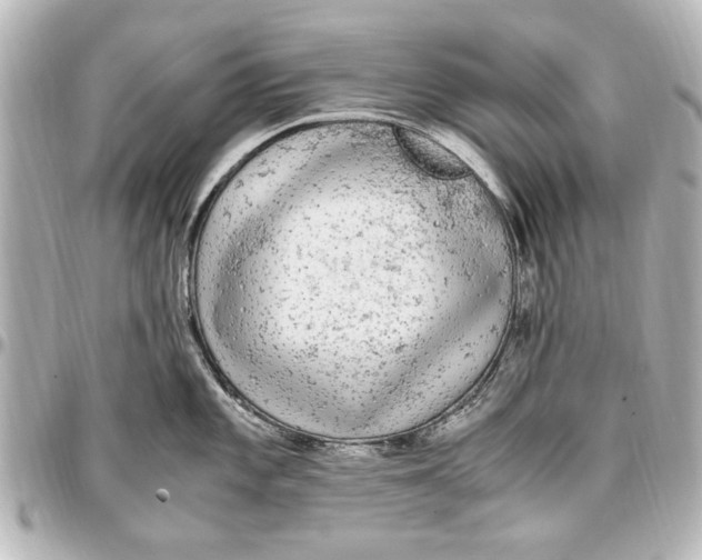 X0000096731101200802261447