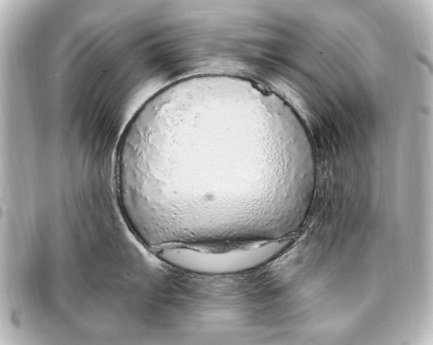 X0000096731103200802261447