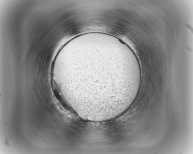 X0000096731104200802261447