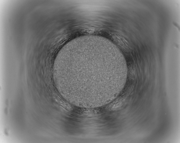 X0000096731105200802261446