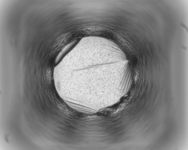 X0000096731108200802261446