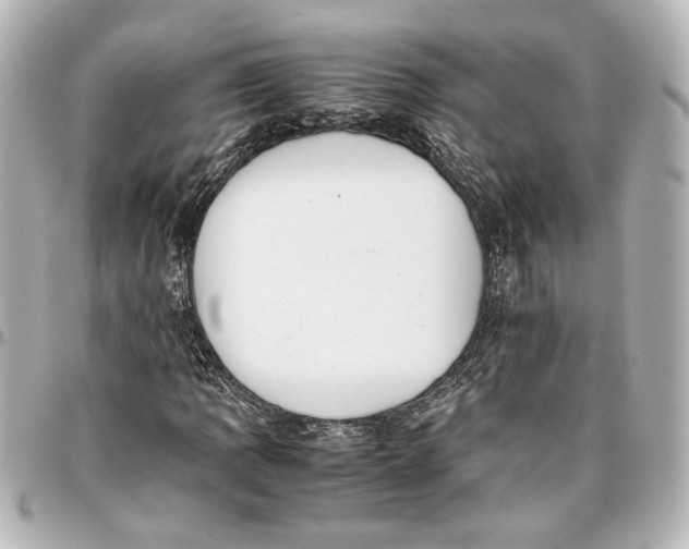 X0000096731109200802261446