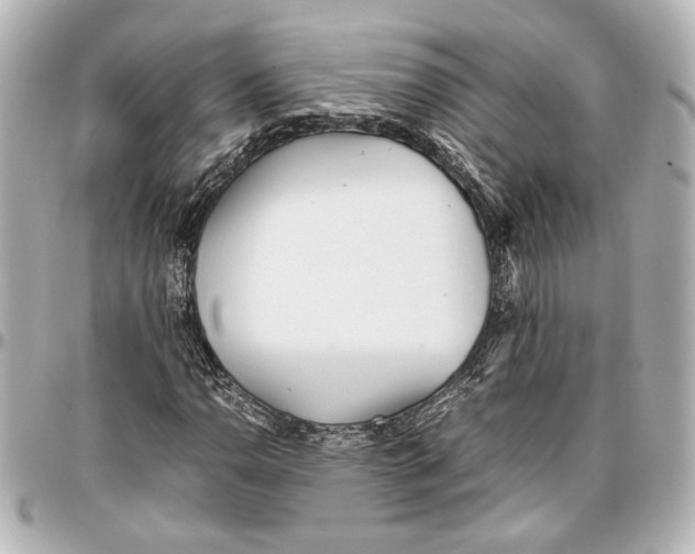 X0000096731110200802261446