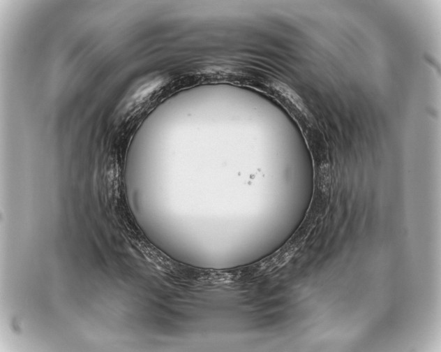 X0000096731111200802261446