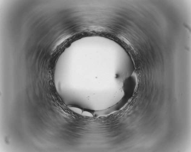 X0000096731112200802261446