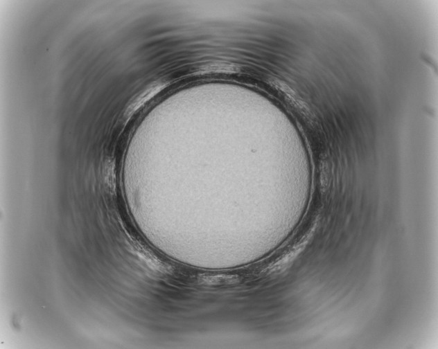 X0000096731113200802261446