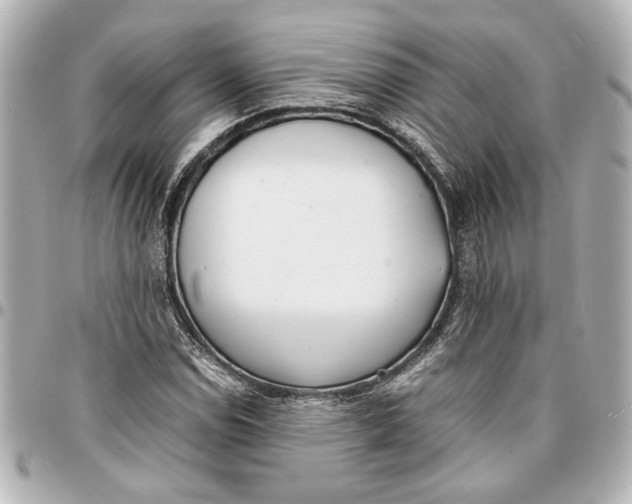 X0000096731114200802261446