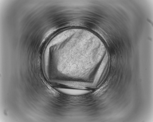 X0000096731115200802261446