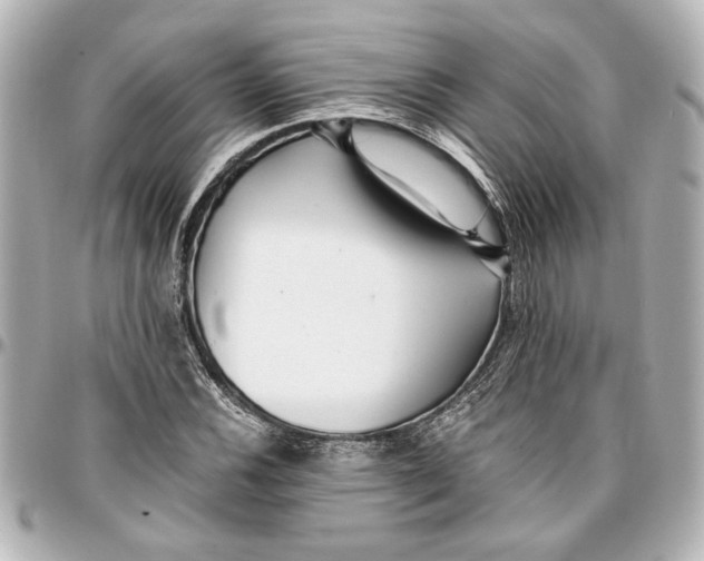 X0000096731116200802261446