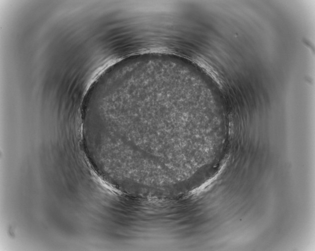 X0000096731117200802261446