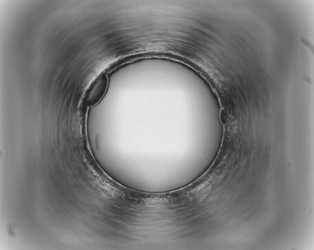 X0000096731118200802261446