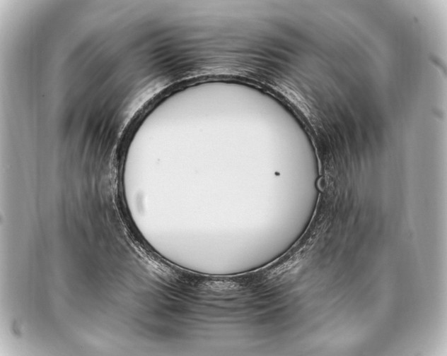 X0000096731119200802261446