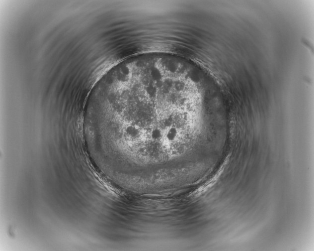 X0000096731121200802261446