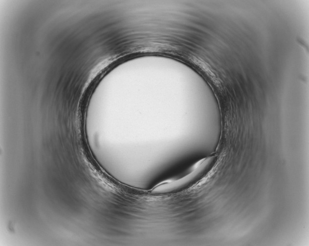 X0000096731122200802261446