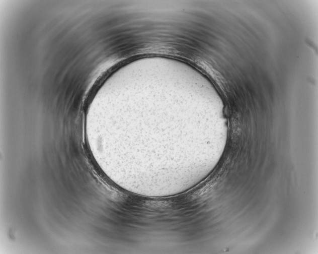 X0000096731123200802261446