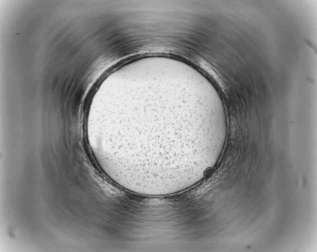 X0000096731124200802261446