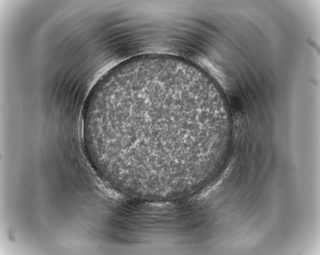 X0000096731125200802261446