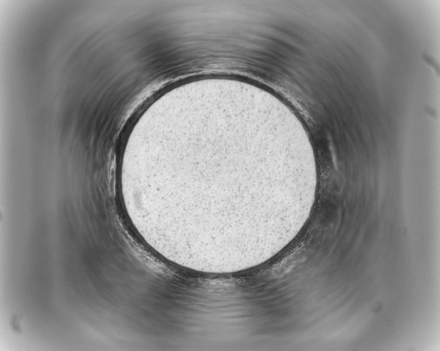 X0000096731126200802261446