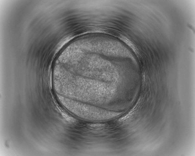 X0000096731127200802261446