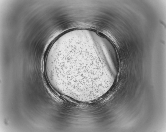 X0000096731128200802261446