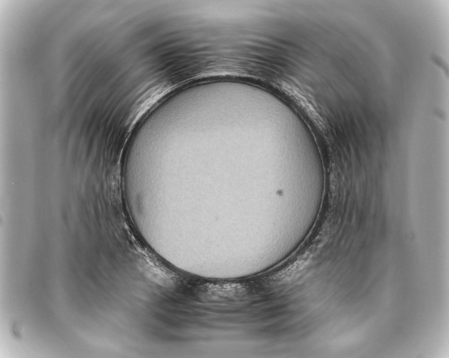 X0000096731129200802261446