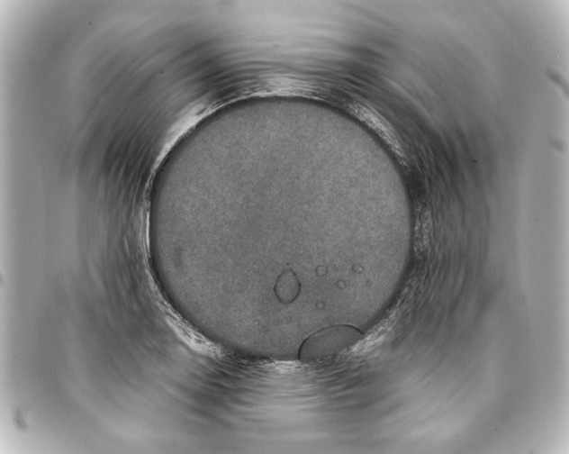 X0000096731130200802261446