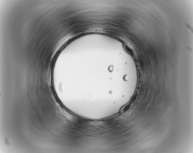 X0000096731131200802261446