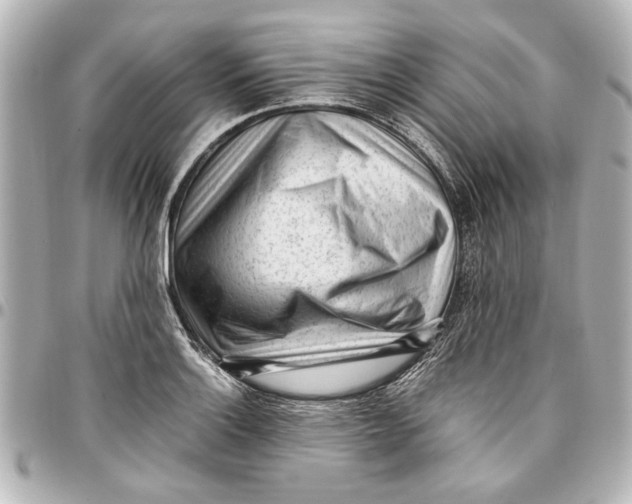 X0000096731132200802261446