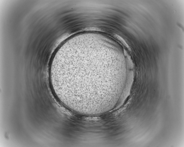 X0000096731133200802261446