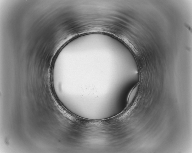 X0000096731134200802261447