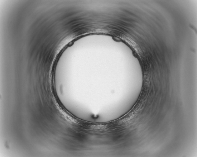 X0000096731135200802261447